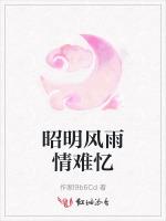 昭明风雨情难忆