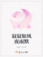 寂寂如风夜雨默