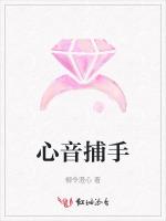 心音捕手
