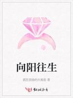 向阳往生
