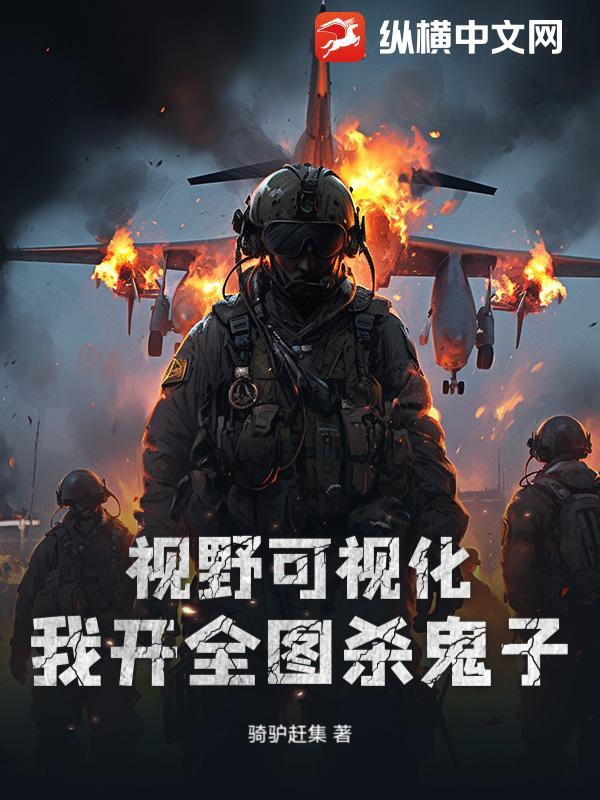 视野可视化，我开全图杀鬼子
