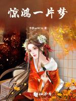 惊鸿一片梦