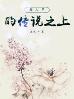 路人甲的传说之上
