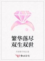 繁华落尽双生双世