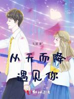 从天而降遇见你