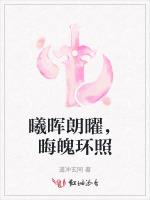 曦晖朗曜，晦魄环照