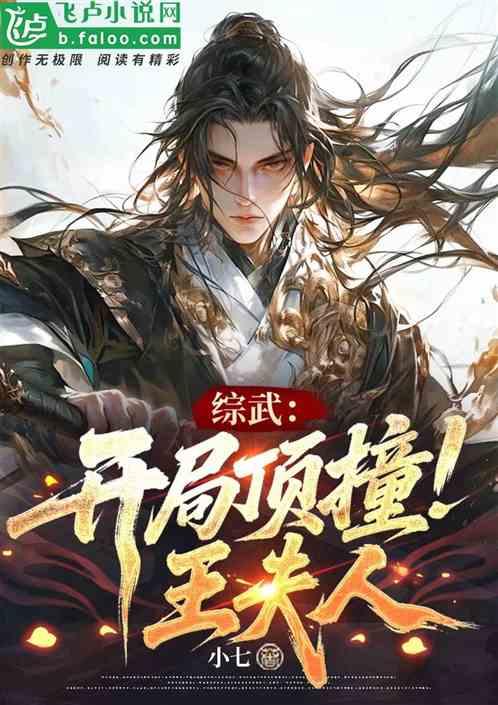 综武：开局顶撞王夫人