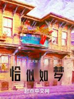 恰似如梦