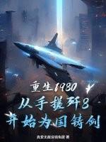 重生1980，从手搓歼8开始为国铸剑