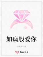 如疯般爱你