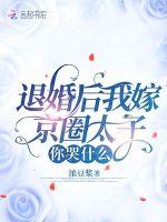 退婚后我嫁京圈大佬，你哭什么