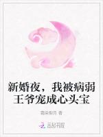 新婚夜，我被病弱王爷宠成心头宝