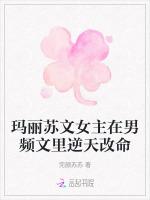 玛丽苏文女主在男频文里逆天改命