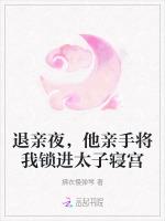 退亲夜，他亲手将我锁进太子寝宫