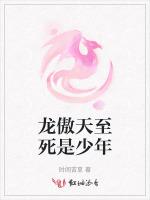 龙傲天至死是少年