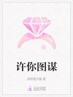 许你图谋