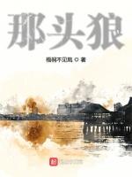 世界幻想录之贪狼传