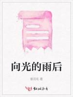 向光的雨后