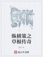 纵横策之草根传奇