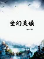 圣幻灵域