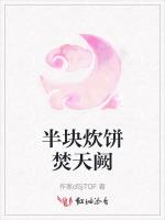 半块炊饼焚天阙