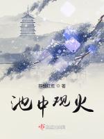 池中观火