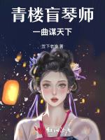 盲琴师，一曲谋天下