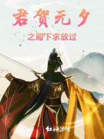 君贺元夕之殿下求放过