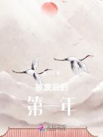 被废后的第一年