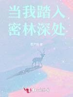 当我踏入密林深处