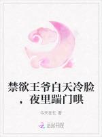 禁欲王爷白天冷脸，夜里踹门哄