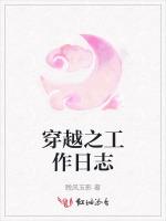 穿越之工作日志