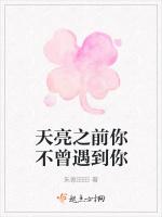 天亮之前，不曾遇到你