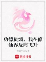 功德负熵，我在修仙界反向飞升