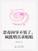 恶毒向导不装了，疯批哨兵求贴贴