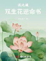 混沌谶：双生花逆命书