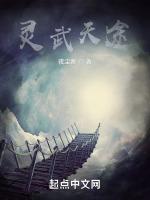 灵武天途