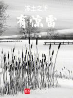 冻土之下有惊雷