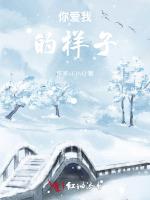 你爱我的样子