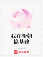 我在新朝搞基建