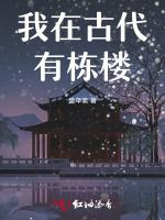 我在古代有栋楼