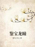 鉴宝龙瞳