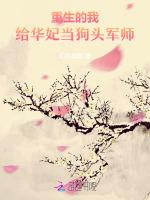 重生的我给华妃当狗头军师
