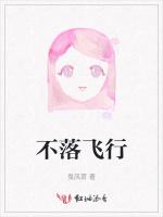 不落飞行
