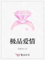 极品爱情