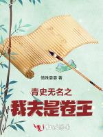 青史无名之我夫是卷王