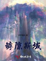 罅隙斯域