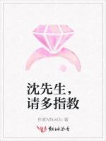 沈先生，请多指教
